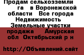 Продам сельхозземли ( 6 000 га ) в Воронежской области - Все города Недвижимость » Земельные участки продажа   . Амурская обл.,Октябрьский р-н